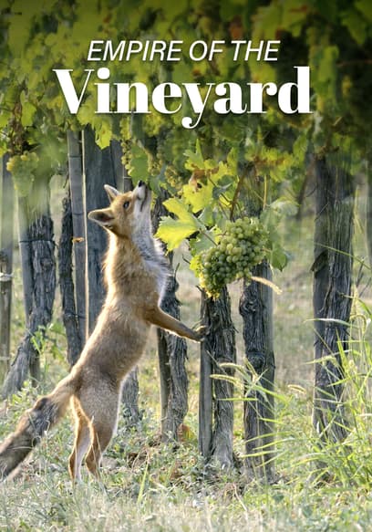 Empire of the Vineyard