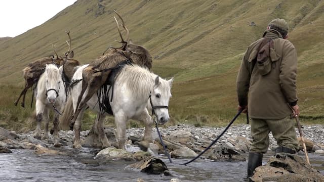 S01:E17 - Hunting Red Stags in the Scottish Highlands With Kristoffer Clausen and Rachel Carrie