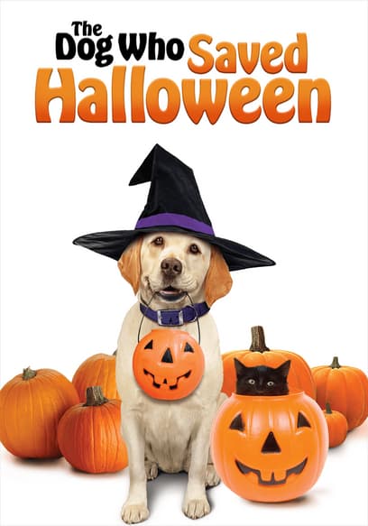 The Dog Who Saved Halloween