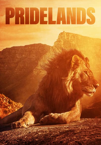 Pridelands