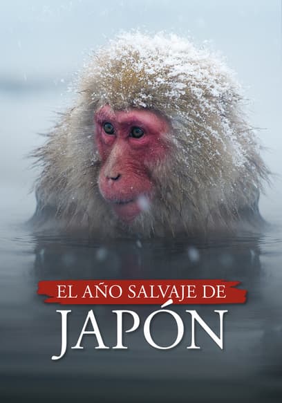 El Año Salvaje De Japón (Doblado)