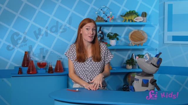 S01:E08 - All About Ancient Animals