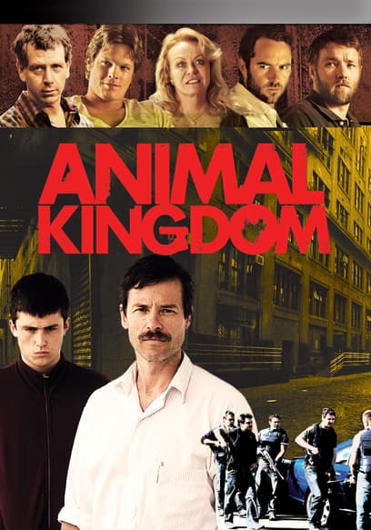 Animal Kingdom