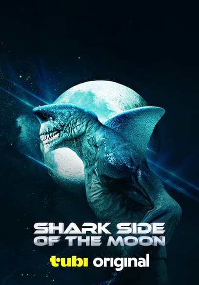 Shark Side of the Moon