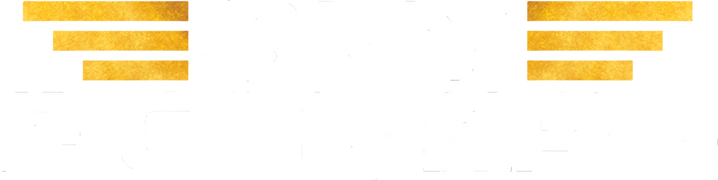 Sky Fighters