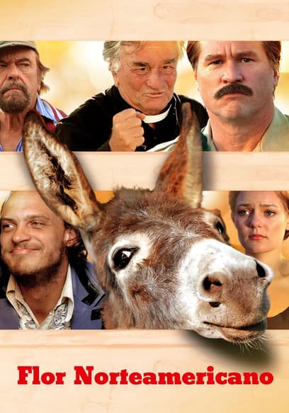 Flor norteamericano (Doblado)