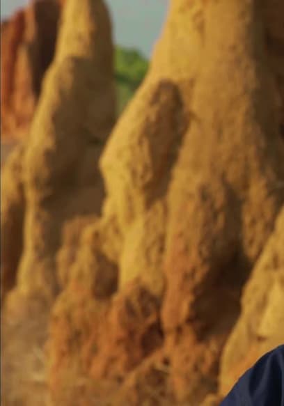 S01:E02 - Crocodiles poster