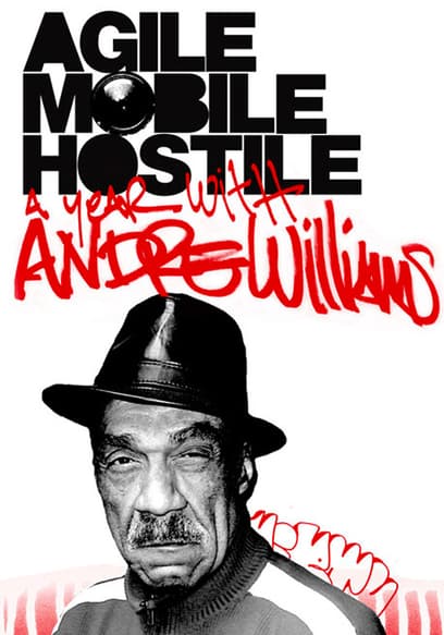 Agile, Mobile, Hostile: A Year With Andre Williams poster