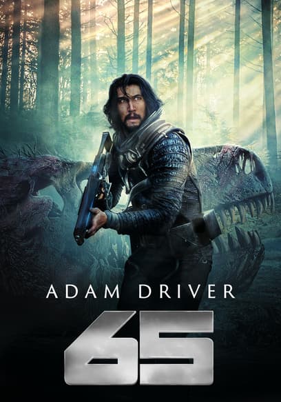 65 poster