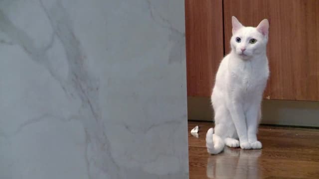 S07:E08 - Loves Bites