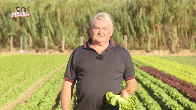 S01:E48 - Episodio 48