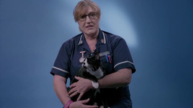 S01:E02 - Dougie