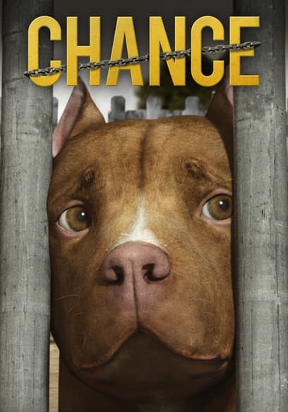 Chance