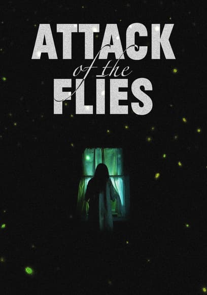 Attack of the Flies poster