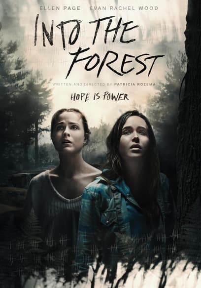 Into the Forest