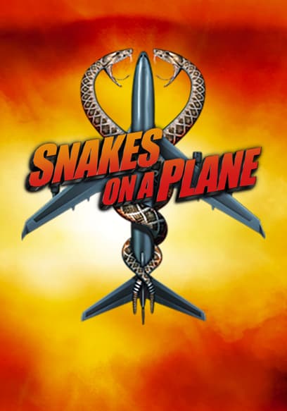 Snakes on a Plane