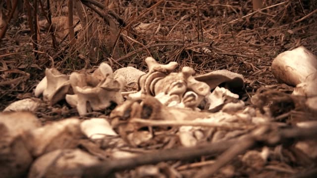 S01:E24 - House of Horrors