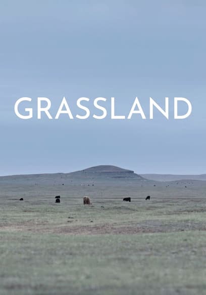 Grassland