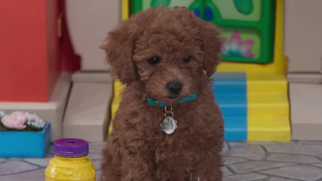 S02:E01 - Ants in the Pants / The Bubble Dump / A Not So Secret Surprise