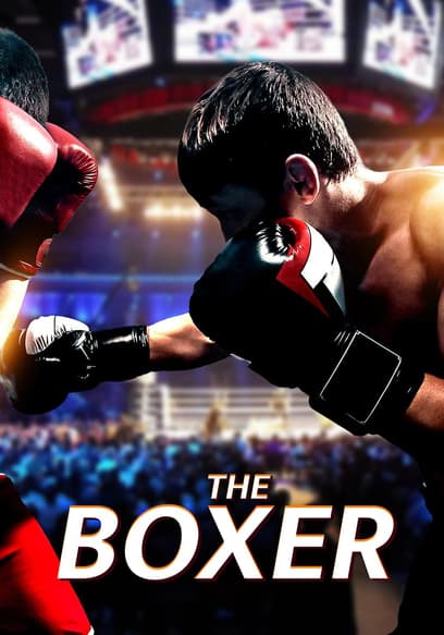 The Boxer