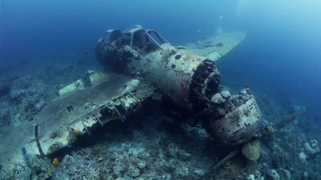 S07:E07 - World War II Era Shipwrecks in Palau + Mimic Octopus in the Philippines