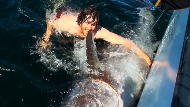 S01:E13 - Swimming With 1000 LB Bluefin: Prince Edward Island