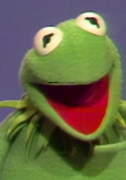 S14:E103 - Sesame Street Sing-Along poster