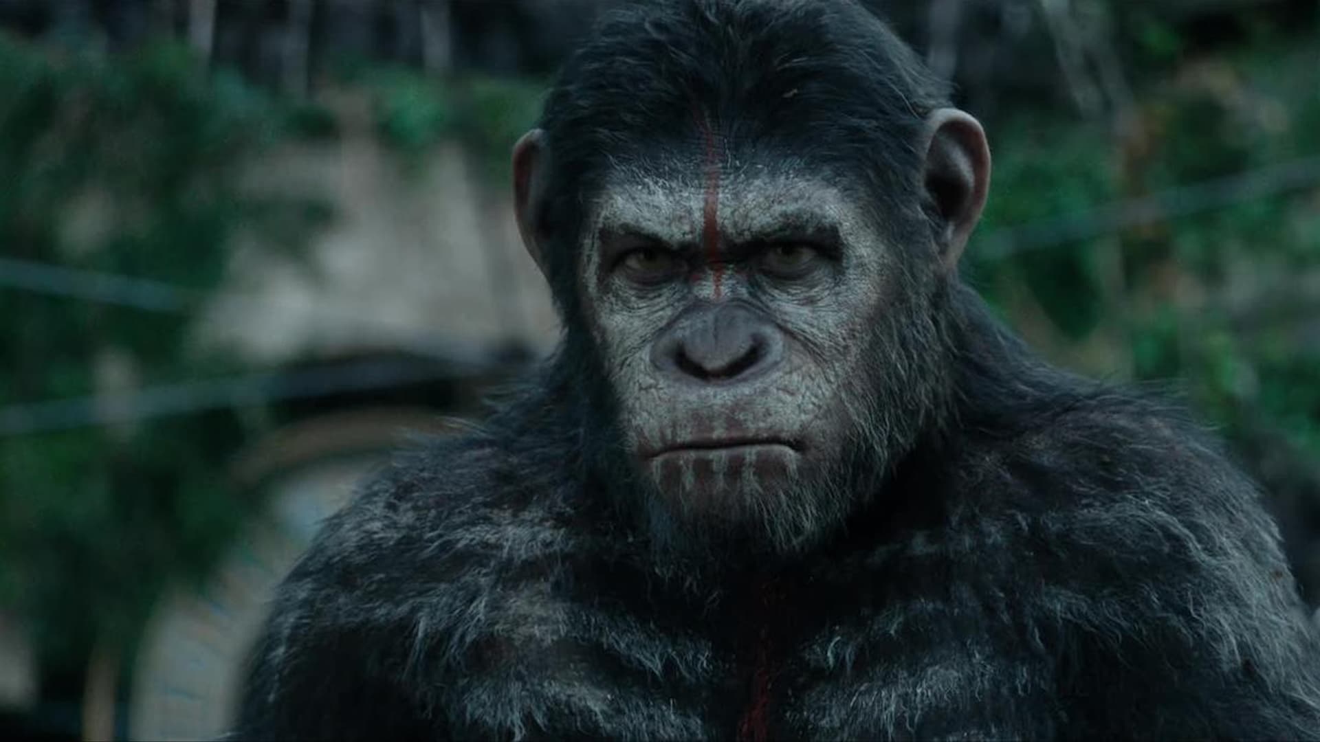 Before Planet of the Apes Evolves Again Revisit the Rise of Caesar on Tubi
