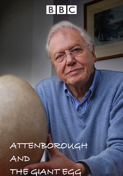 Attenborough and the Giant Egg