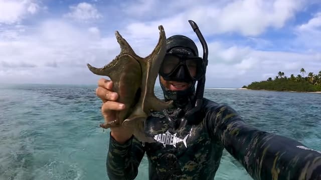 S01:E05 - Crazy Sea Creatures From A Tropical Island (Night Dive)