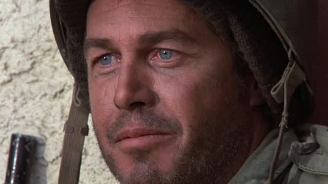 S05:E19 - The Beautiful Skeptic / The Lost Platoon