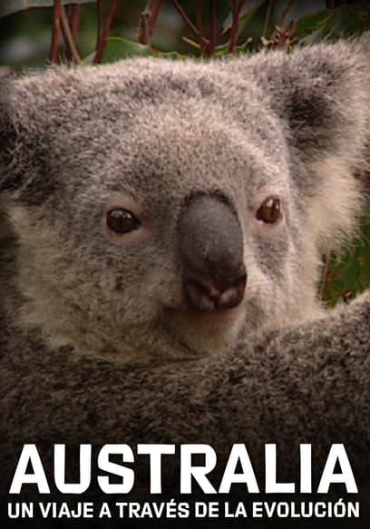 Australia: Un Viaje a Través De La Evolución