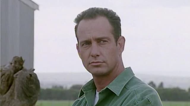 S02:E29 - Without a Trace