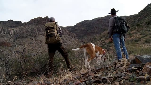 S02:E02 - The Fair Chase: Arizona Mountain Lion