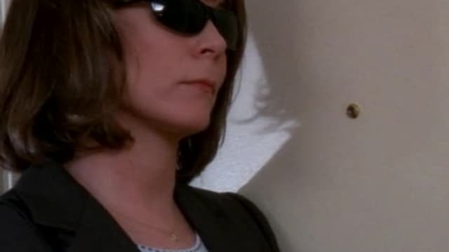 S04:E404 - Rash Decisions