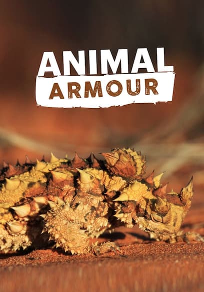 Animal Armour