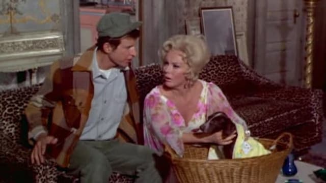 S05:E17 - Bundle of Joy