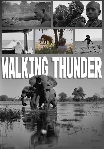 Walking Thunder