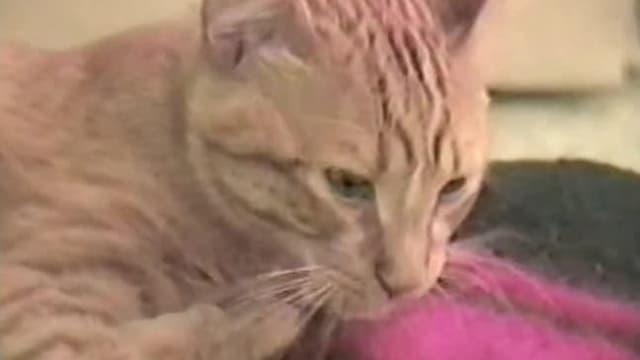 S01:E13 - Episode 13