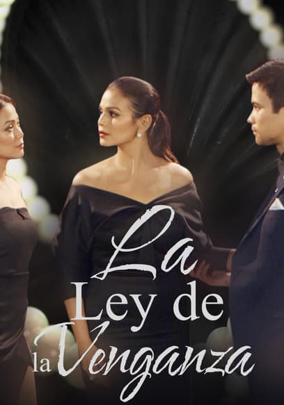 La ley de la venganza poster