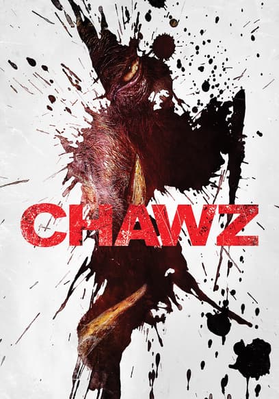 Chawz