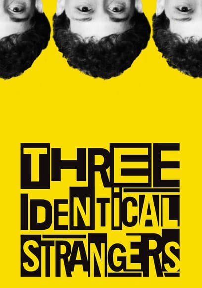 Three Identical Strangers