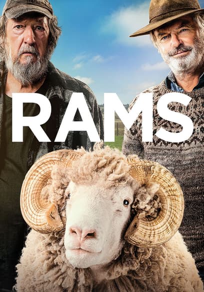 Rams