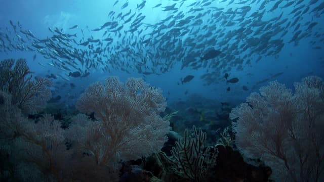 S04:E03 - What Lies Below?