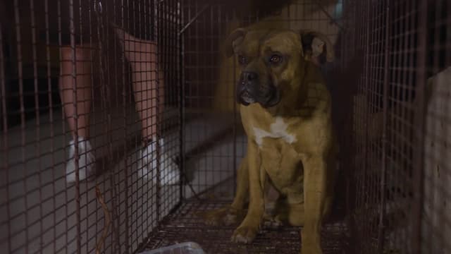 S01:E06 - Persiguiendo a ghost