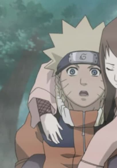 S04:E50 - Genjutsu or Reality? poster