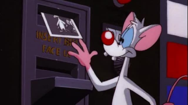 S03:E13 - Pinky and the Brainmaker / Calvin Brain