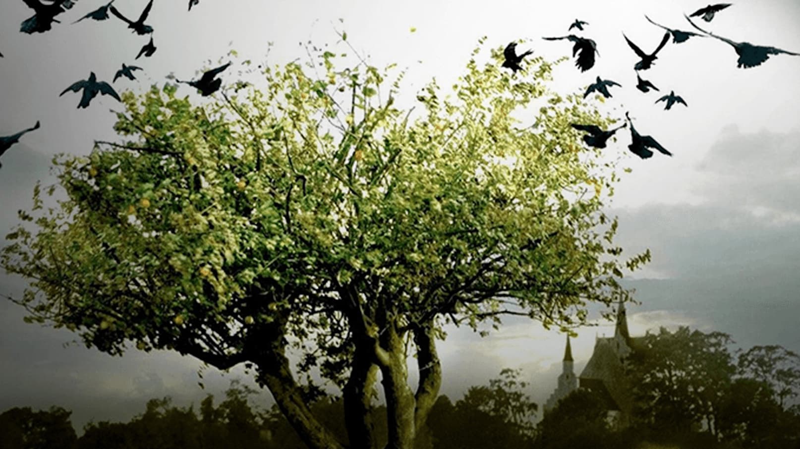 poster background