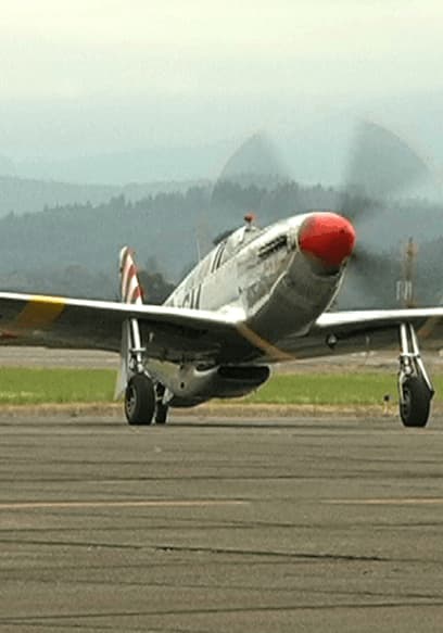 Póster de S01:E06 - P-51