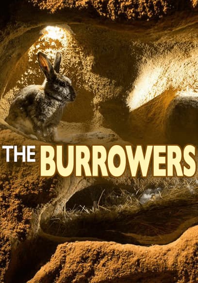 The Burrowers